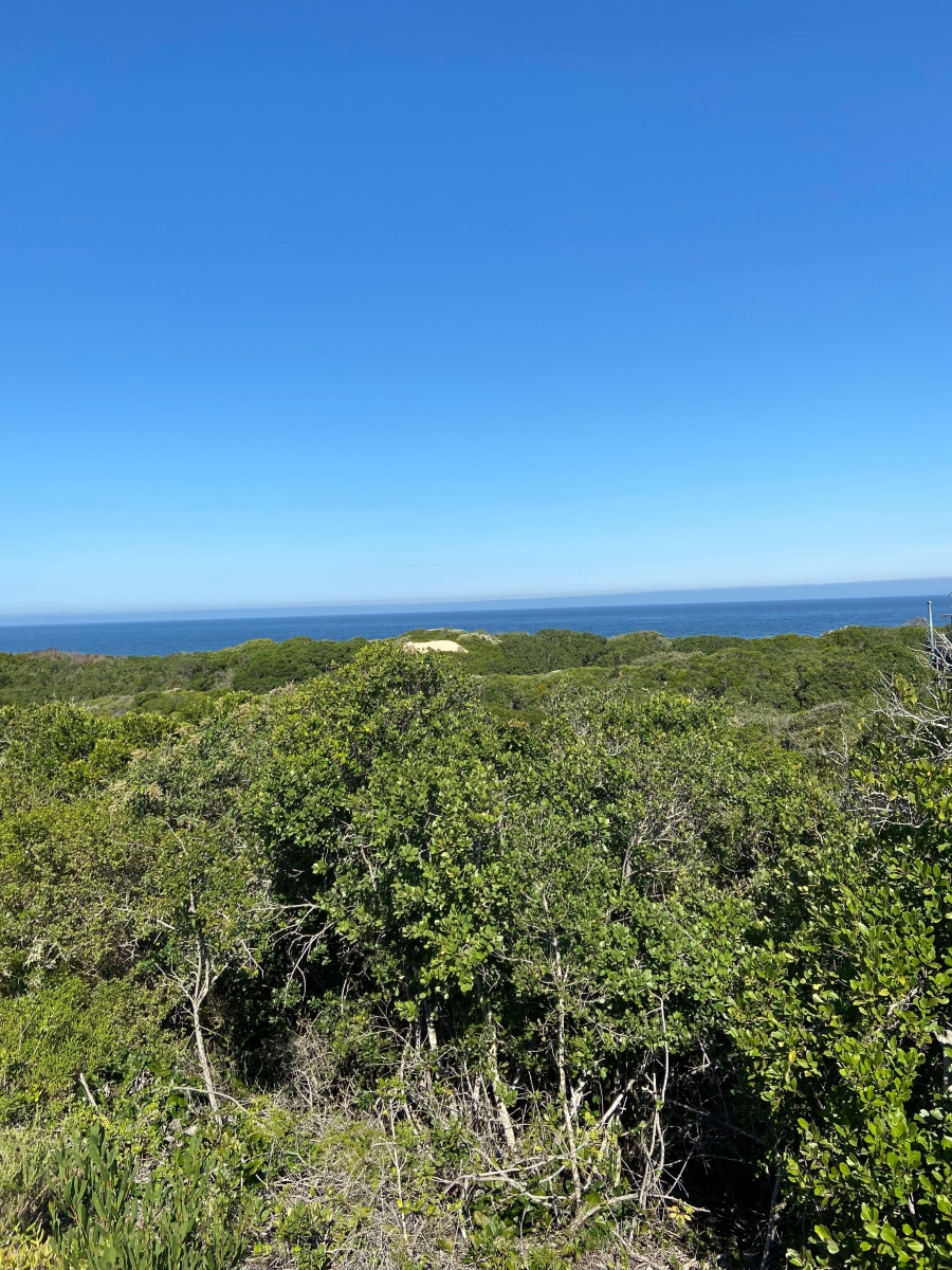 0 Bedroom Property for Sale in Keurboomstrand Western Cape